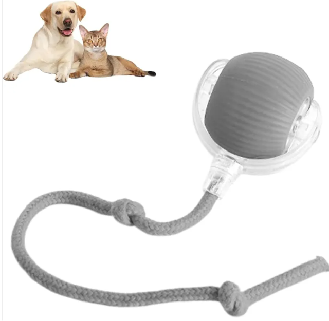 Smart Rolling Pet Ball
